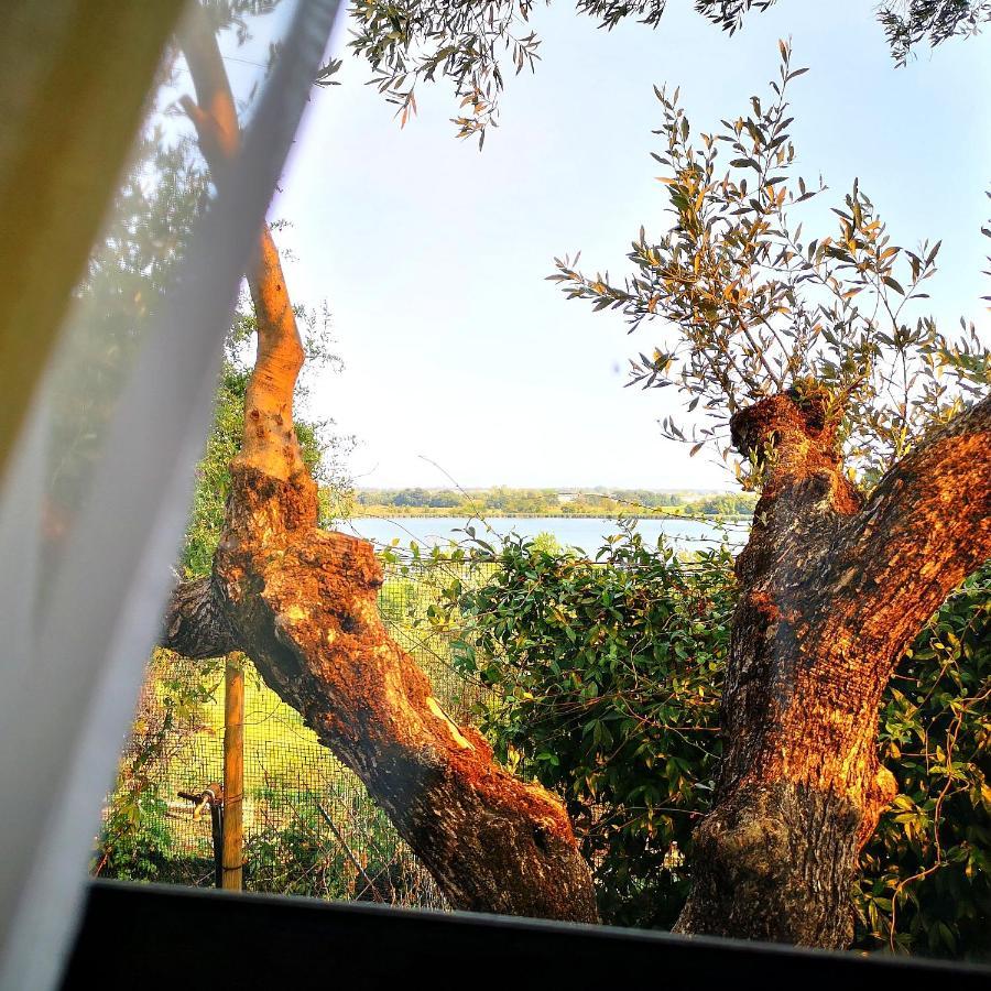 Sul lago dorato Terracina Exterior foto